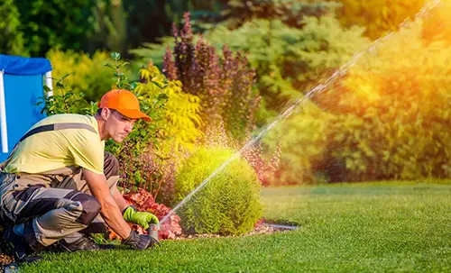 Landscape technician adjusting sprinkler head in residential garden with water spraying across green lawn