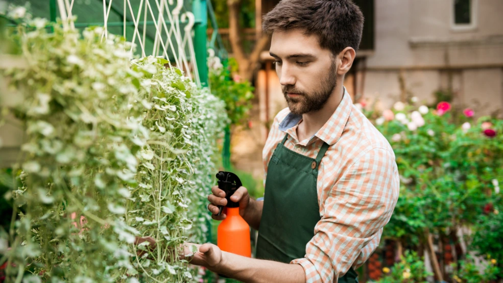 Young gardener in green apron misting hanging plants with orange spray bottle in a nursery greenhouse