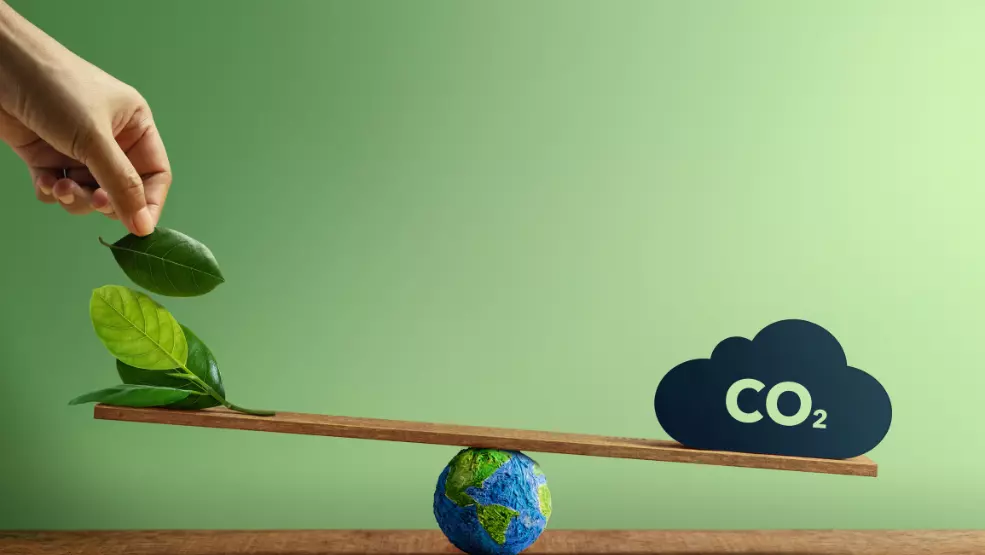 Hand placing green leaves on a seesaw balanced against a CO2 cloud symbol, representing carbon offsetting