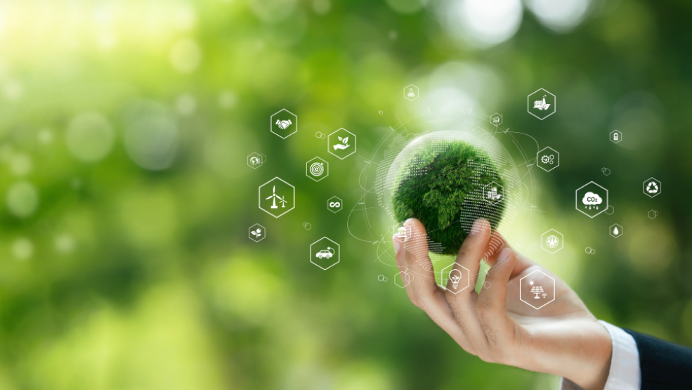 PEX Network’s guide to business sustainability