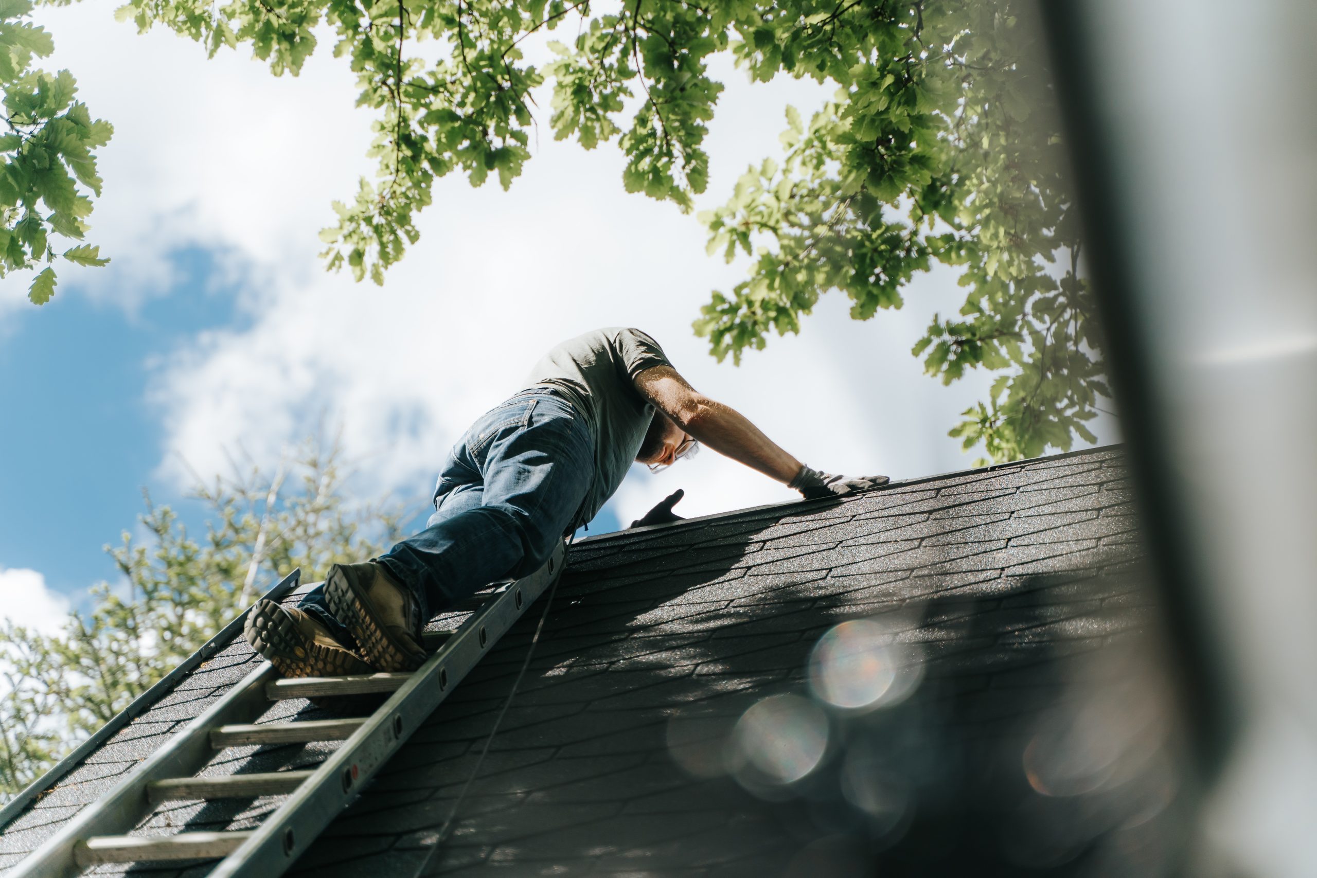 Roofer climbing ladder to inspect residential asphalt shingle roof on sunny day